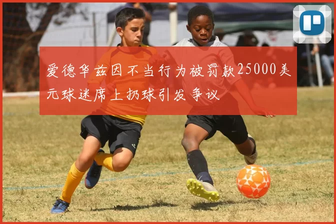 爱德华兹因不当行为被罚款25000美元球迷席上扔球引发争议